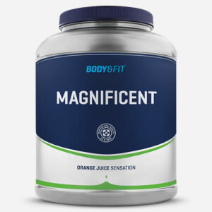 Magnificent 2
